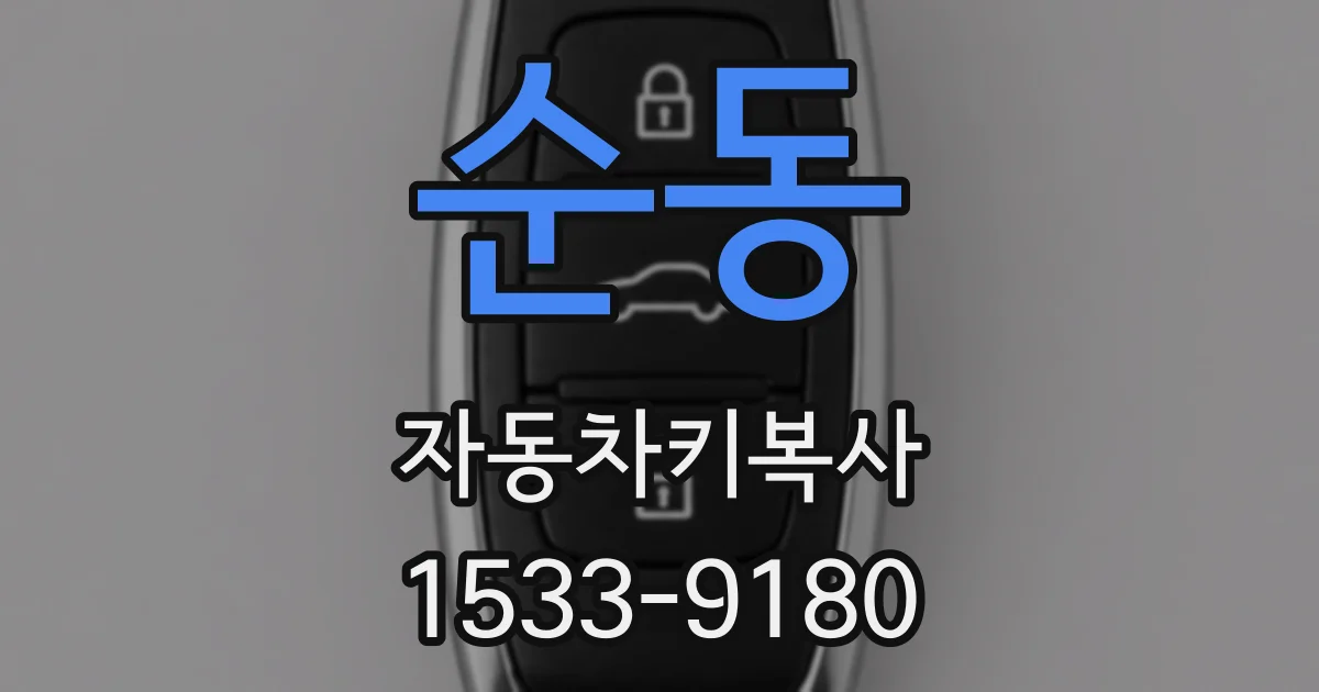 순동 자동차키복사