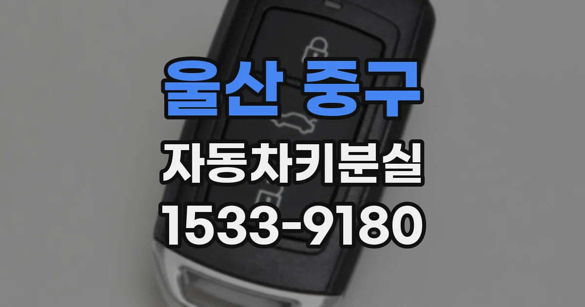 울산 중구 자동차키분실