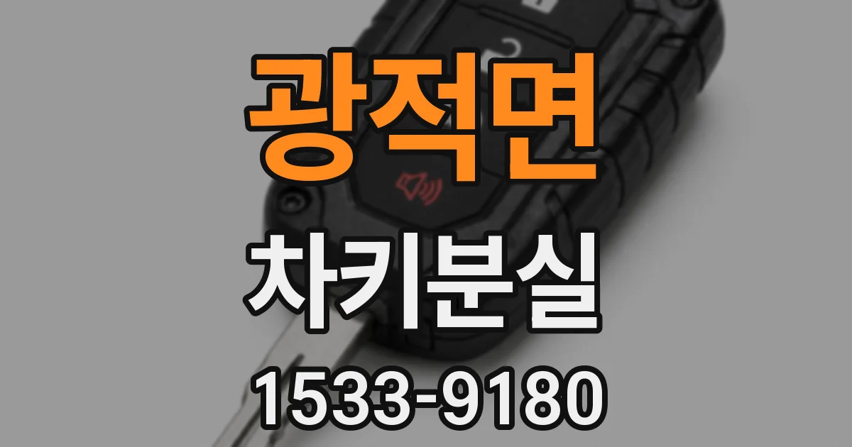 광적면 차키분실