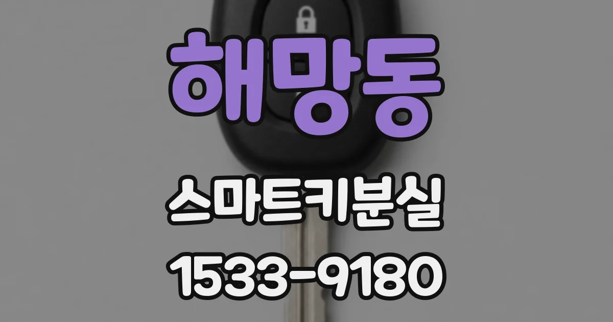 해망동 스마트키분실