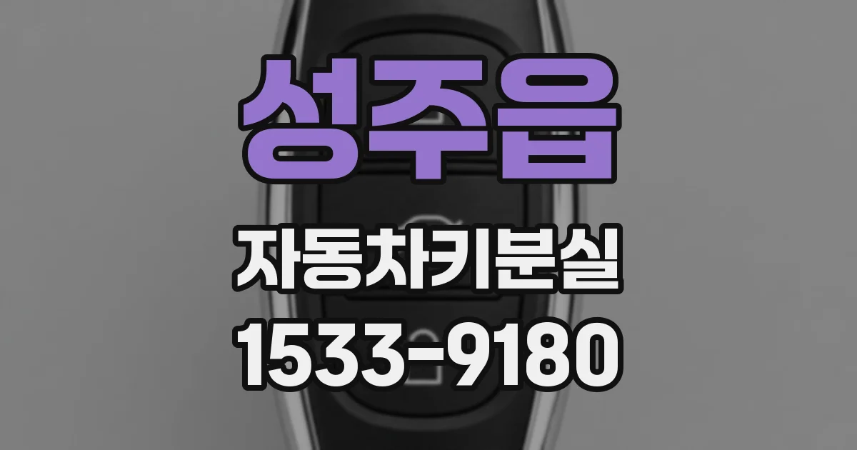 성주읍 자동차키분실