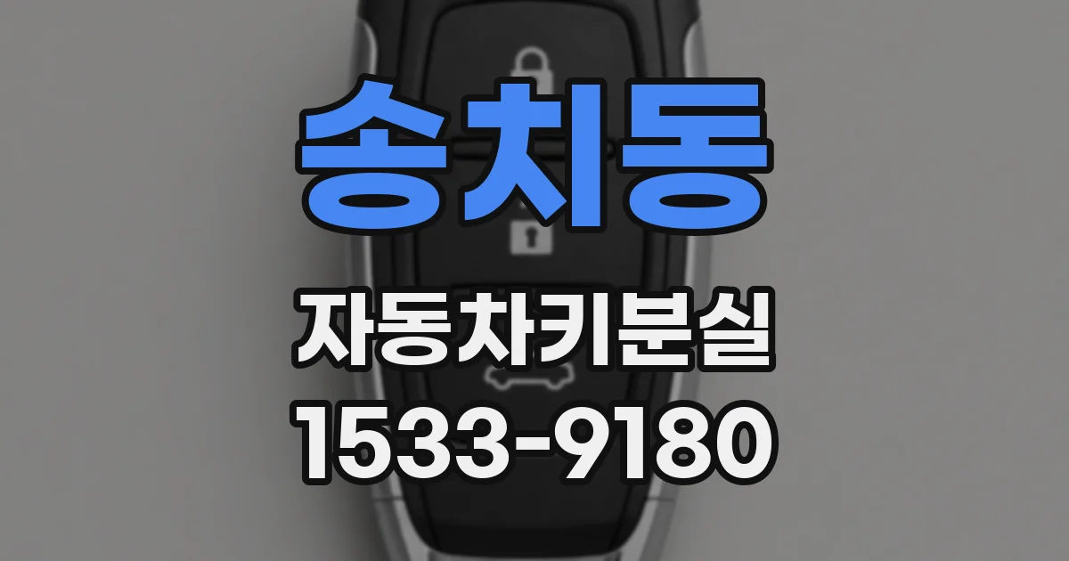 송치동 자동차키분실