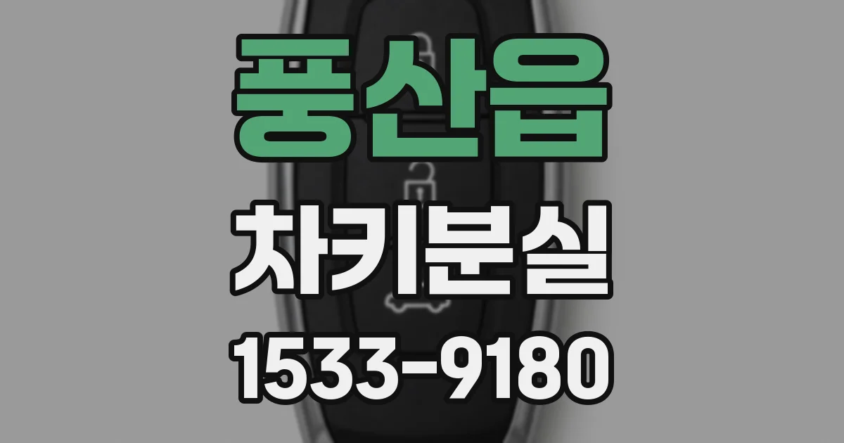 풍산읍 차키분실