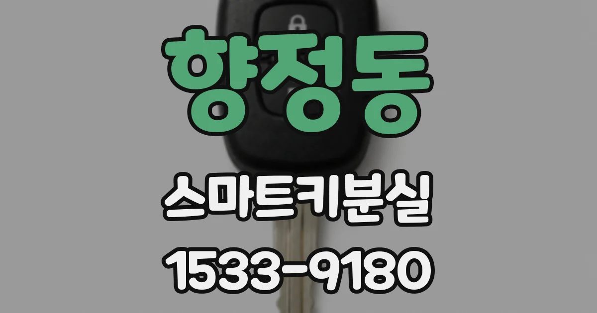 향정동 스마트키분실