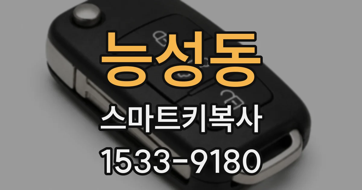 능성동 스마트키복사