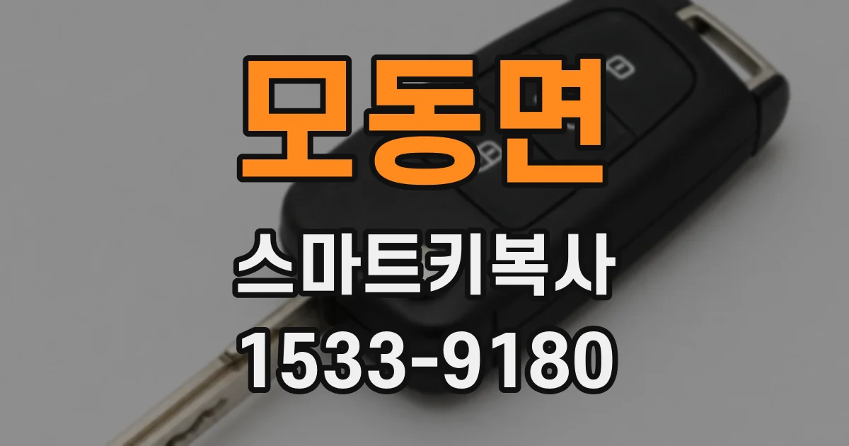 모동면 스마트키복사
