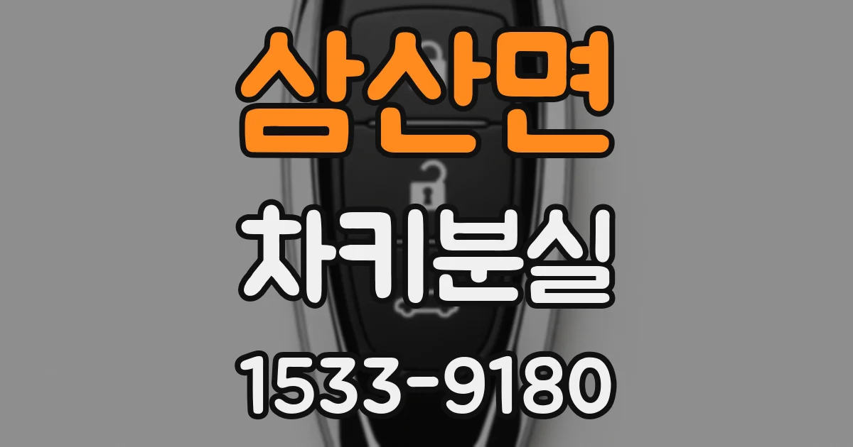 삼산면 차키분실