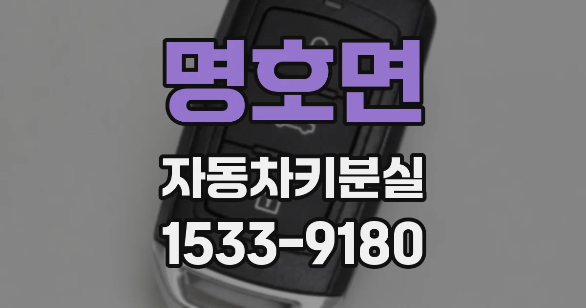 명호면 자동차키분실