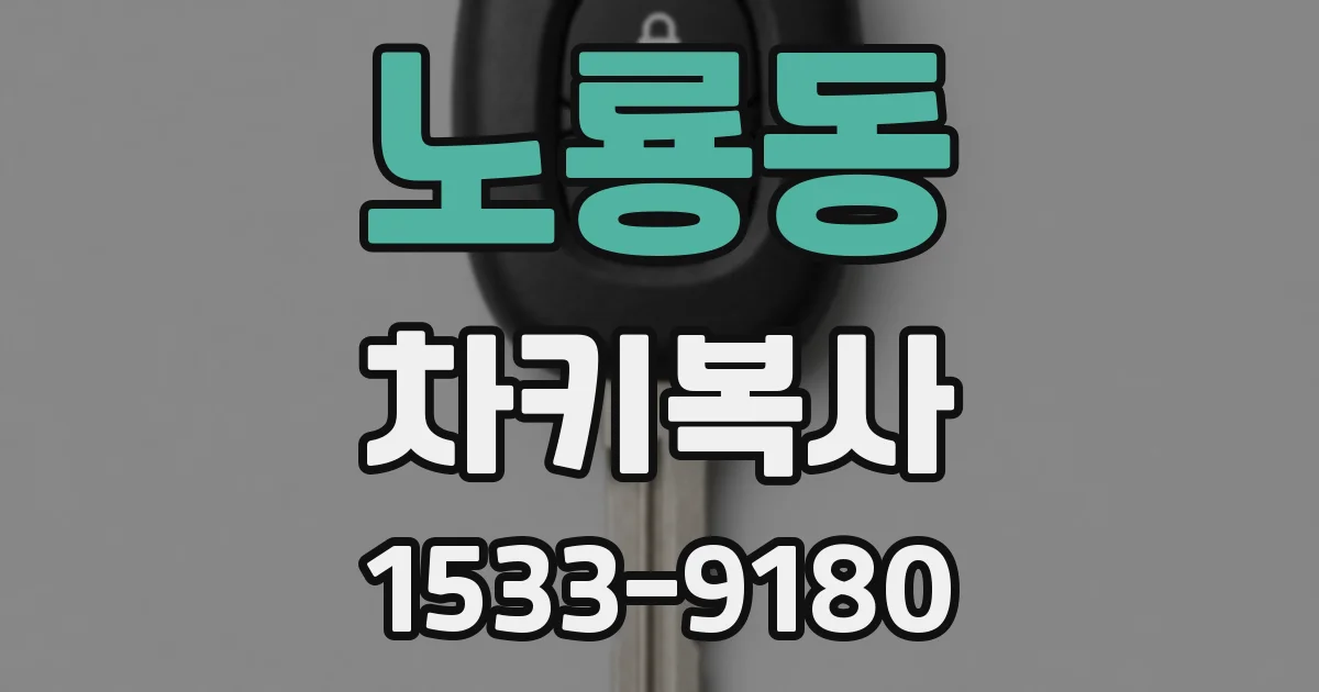 노룡동 차키복사