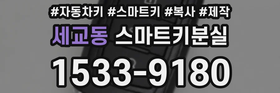 세교동 스마트키분실