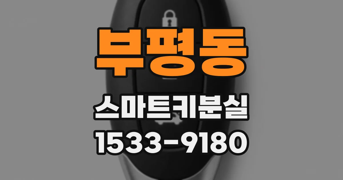 부평동 스마트키분실