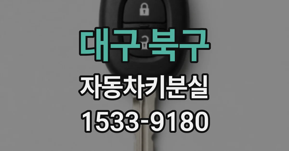대구 북구 자동차키분실