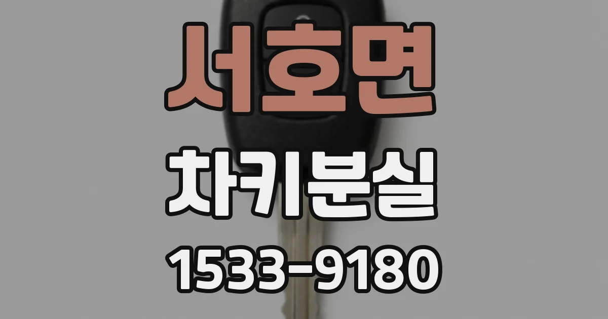 서호면 차키분실