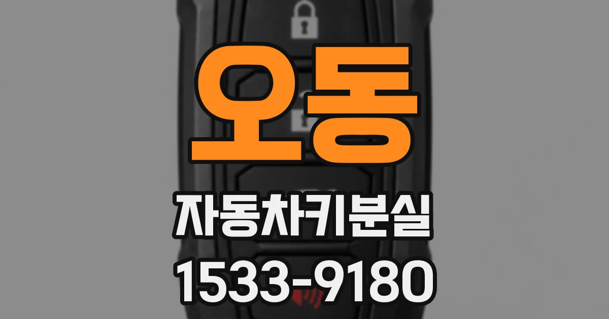 오동 자동차키분실