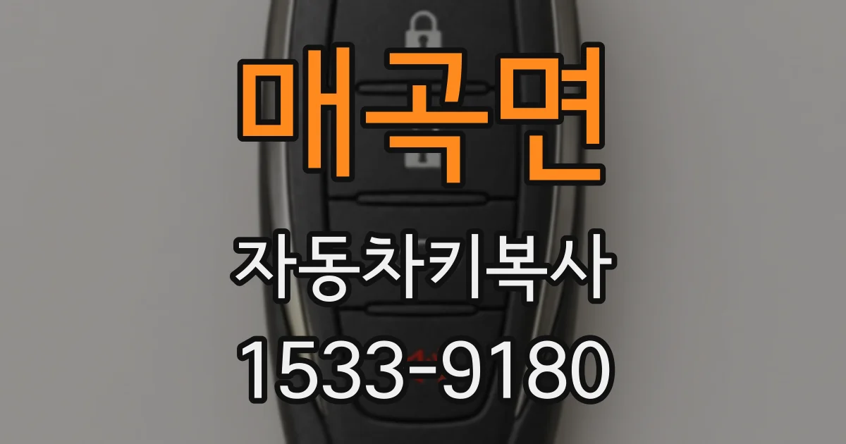 매곡면 자동차키복사