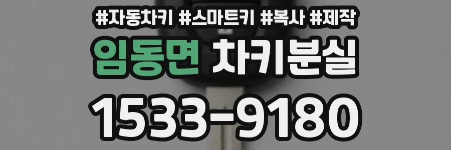 임동면 차키분실