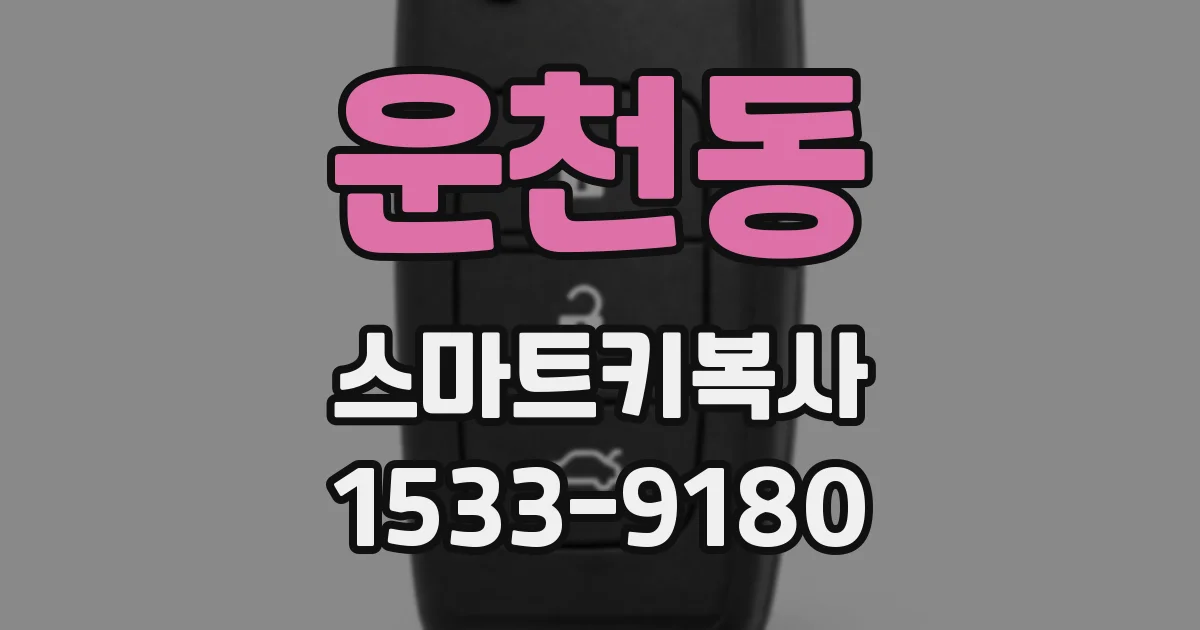 운천동 스마트키복사