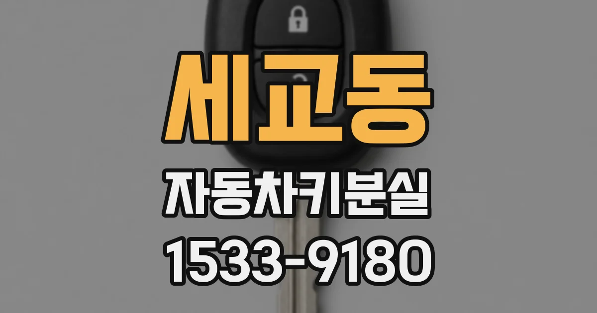 세교동 자동차키분실