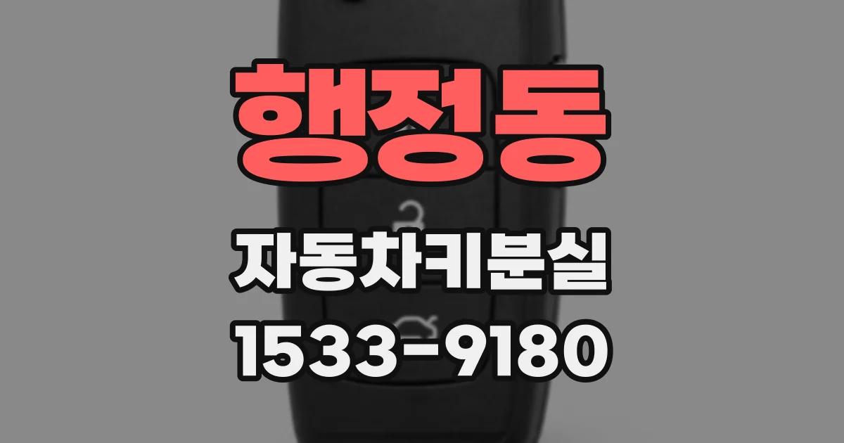행정동 자동차키분실