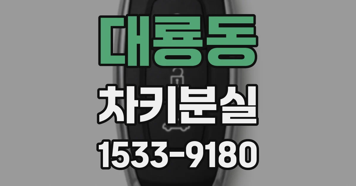 대룡동 차키분실