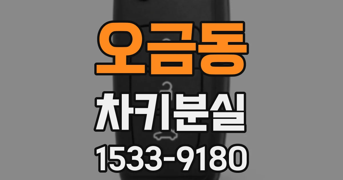 오금동 차키분실