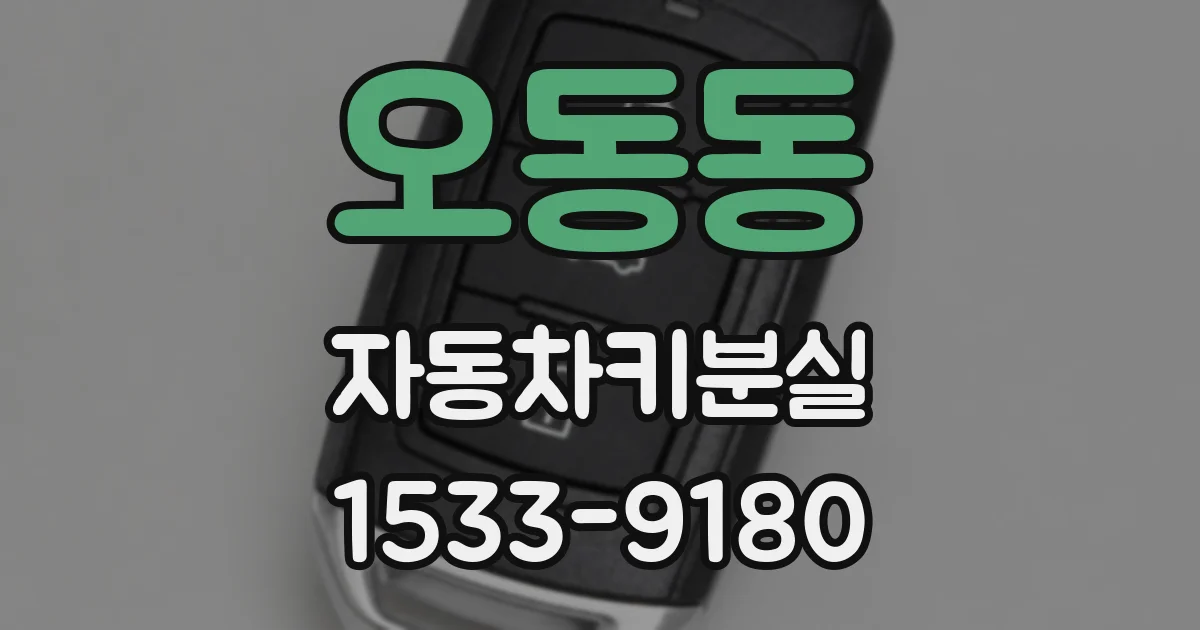 오동동 자동차키분실