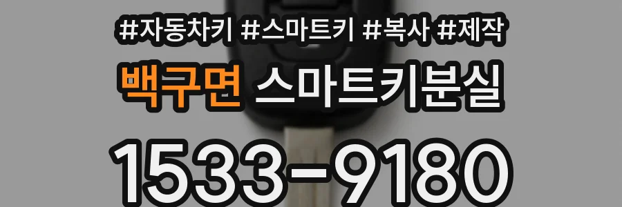 백구면 스마트키분실