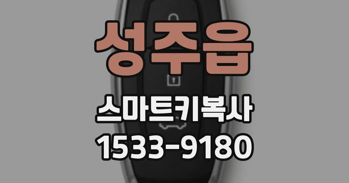 성주읍 스마트키복사