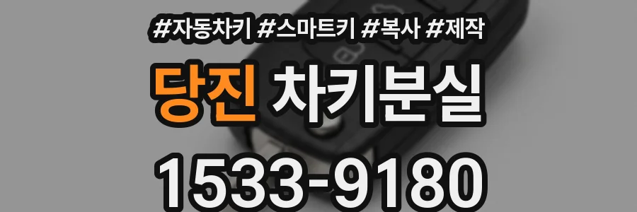 당진 차키분실