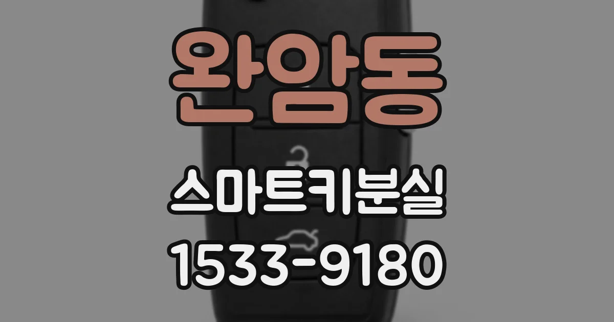 완암동 스마트키분실