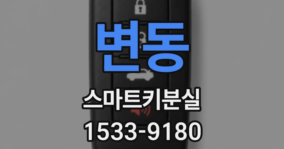 변동 스마트키분실