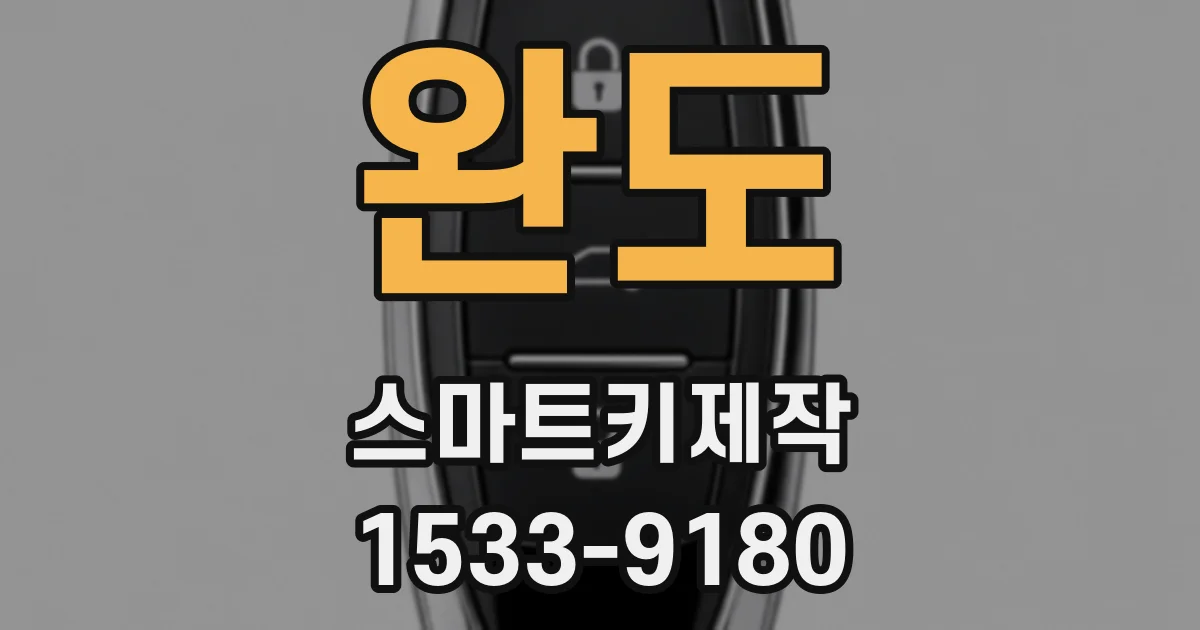 완도 스마트키제작
