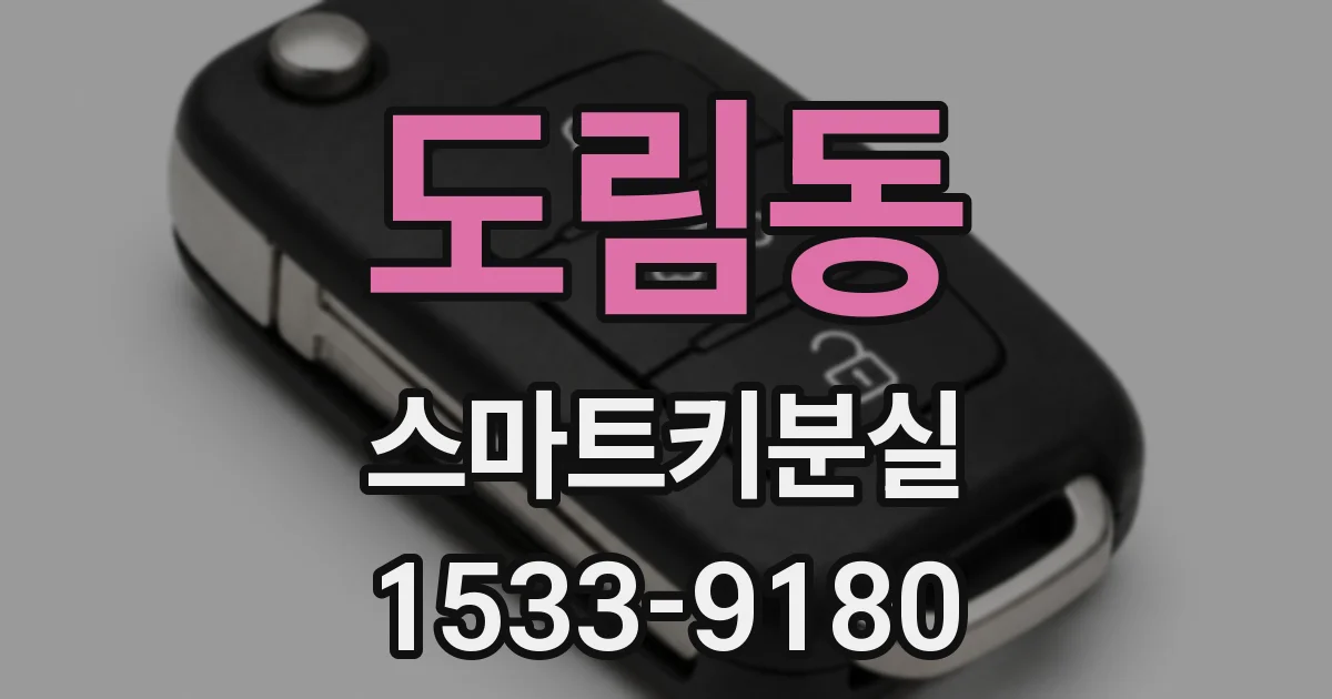 도림동 스마트키분실