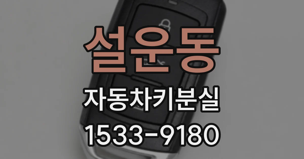 설운동 자동차키분실