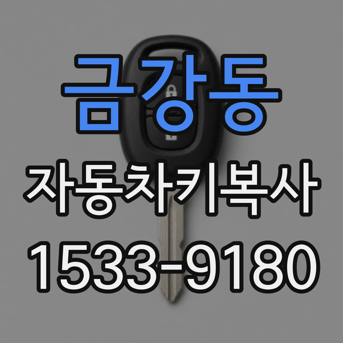 금강동 자동차키복사