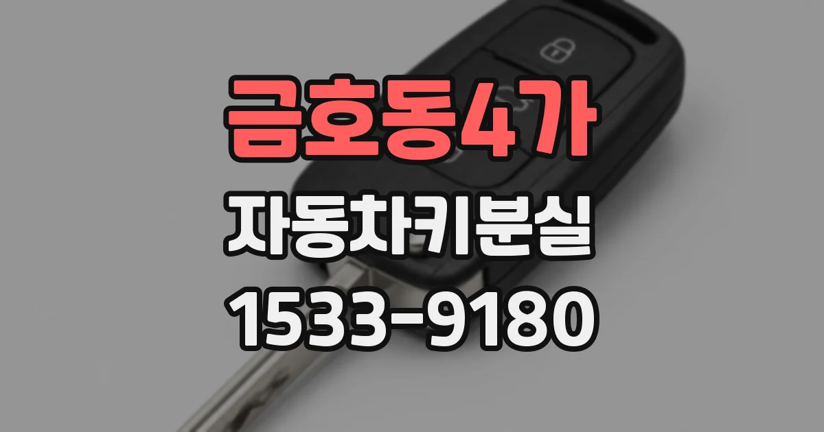 금호동4가 자동차키분실