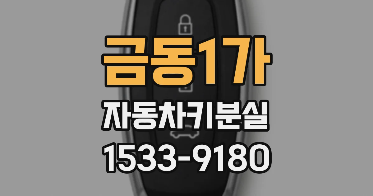금동1가 자동차키분실
