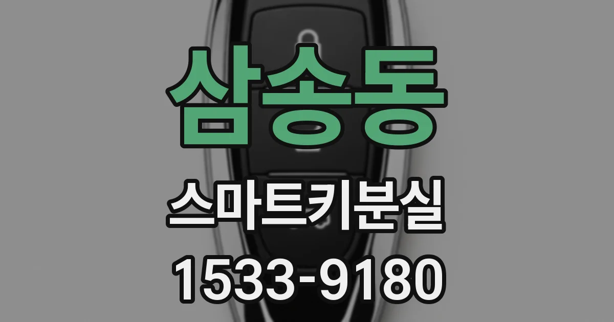삼송동 스마트키분실