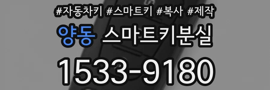 양동 스마트키분실