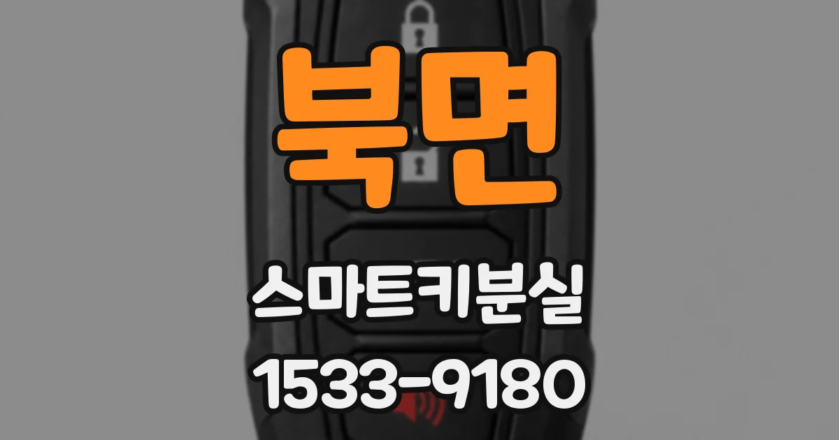 북면 스마트키분실