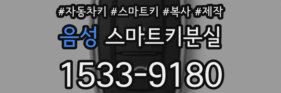 음성 스마트키분실