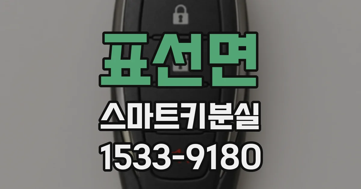 표선면 스마트키분실
