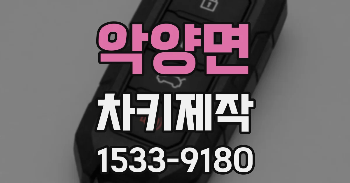 악양면 차키제작