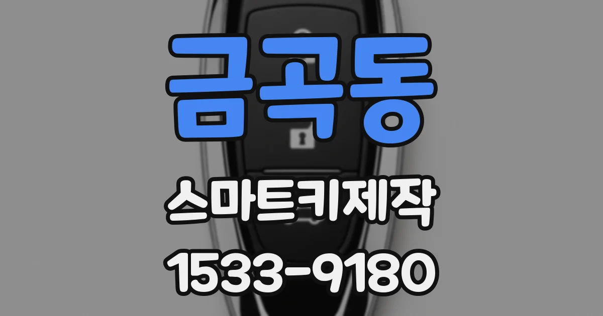 금곡동 스마트키제작