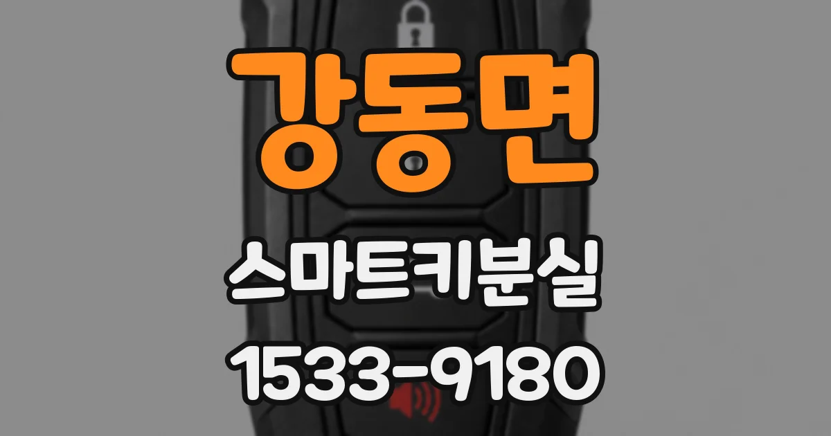 강동면 스마트키분실