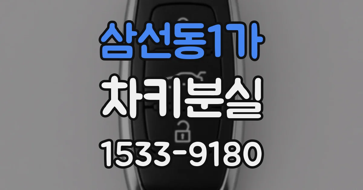 삼선동1가 차키분실