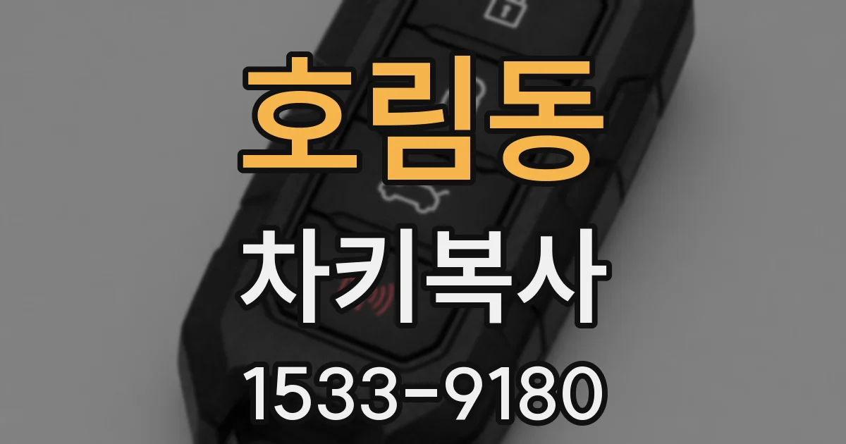호림동 차키복사