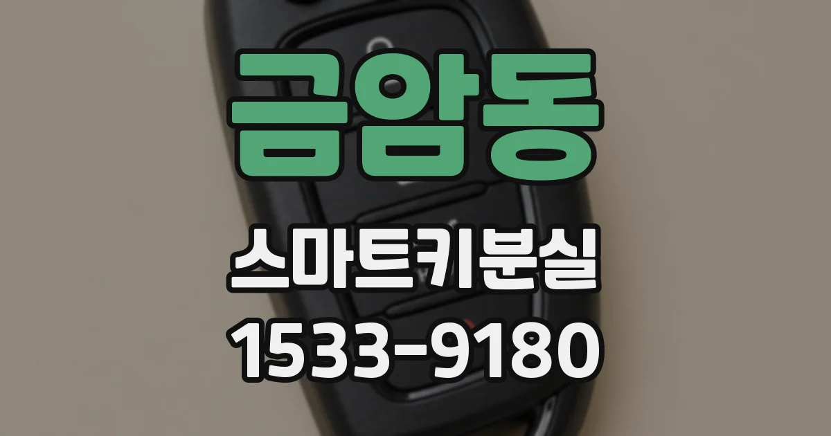 금암동 스마트키분실