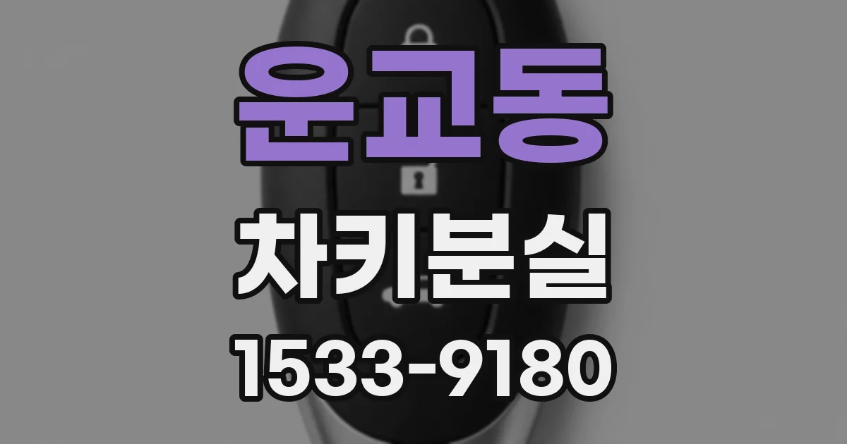 운교동 차키분실