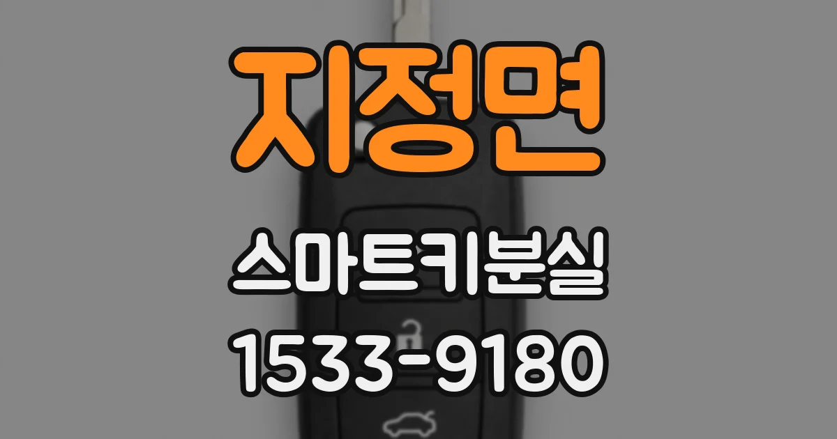 지정면 스마트키분실